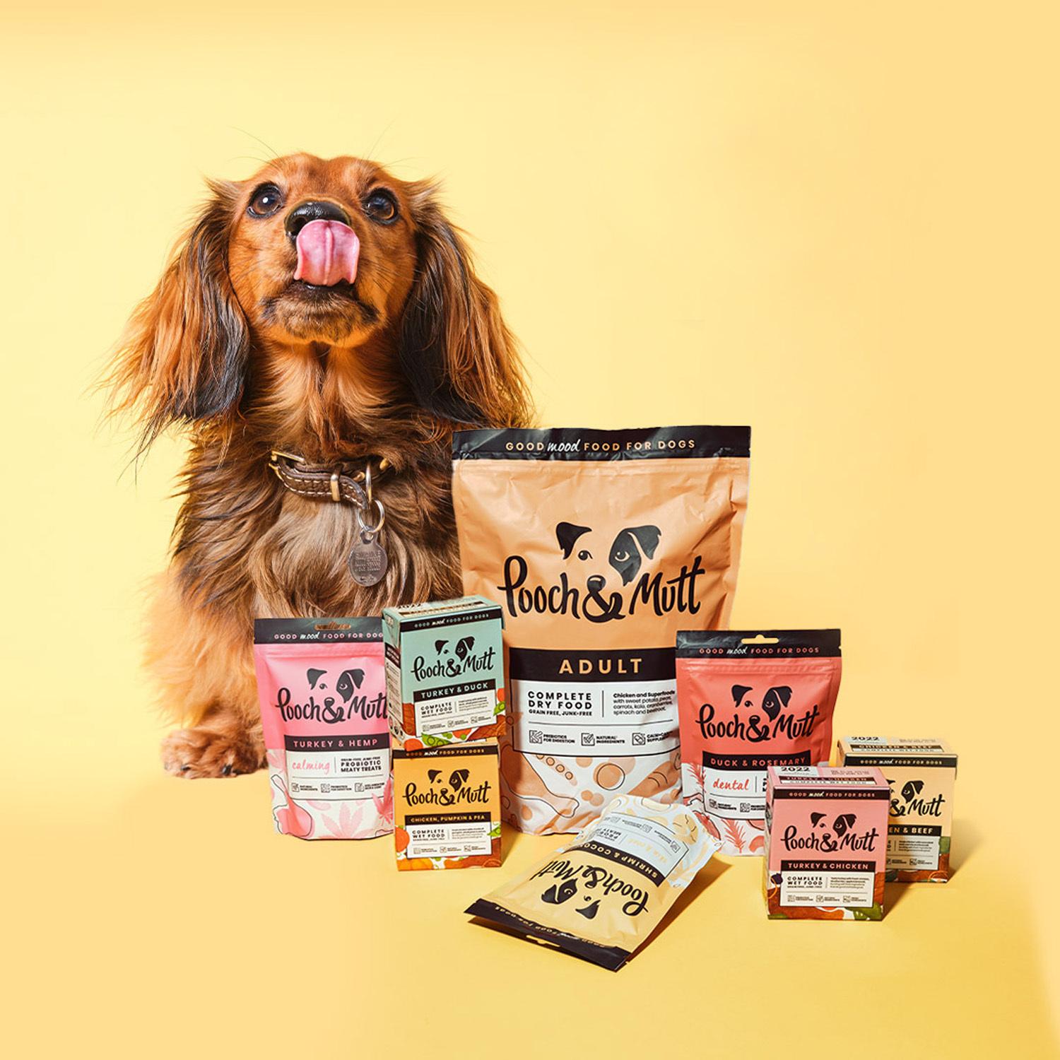 A long-haired dog sits with various Pooch & Mutt pet food packages on a yellow background.