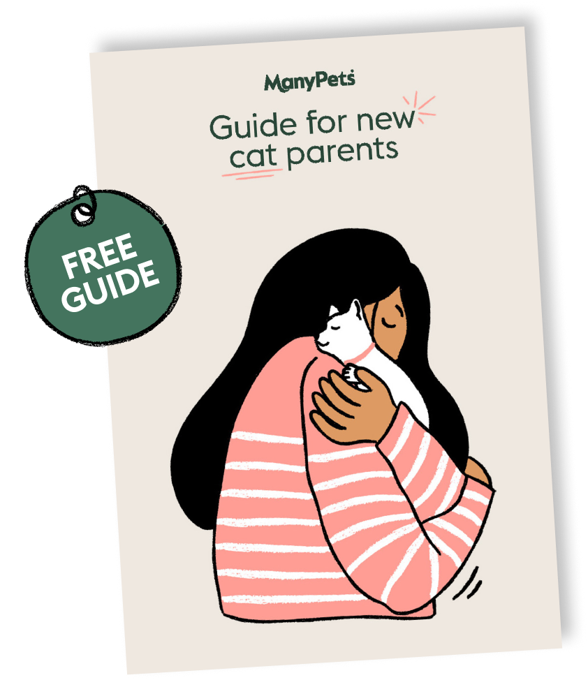 cat guide cover