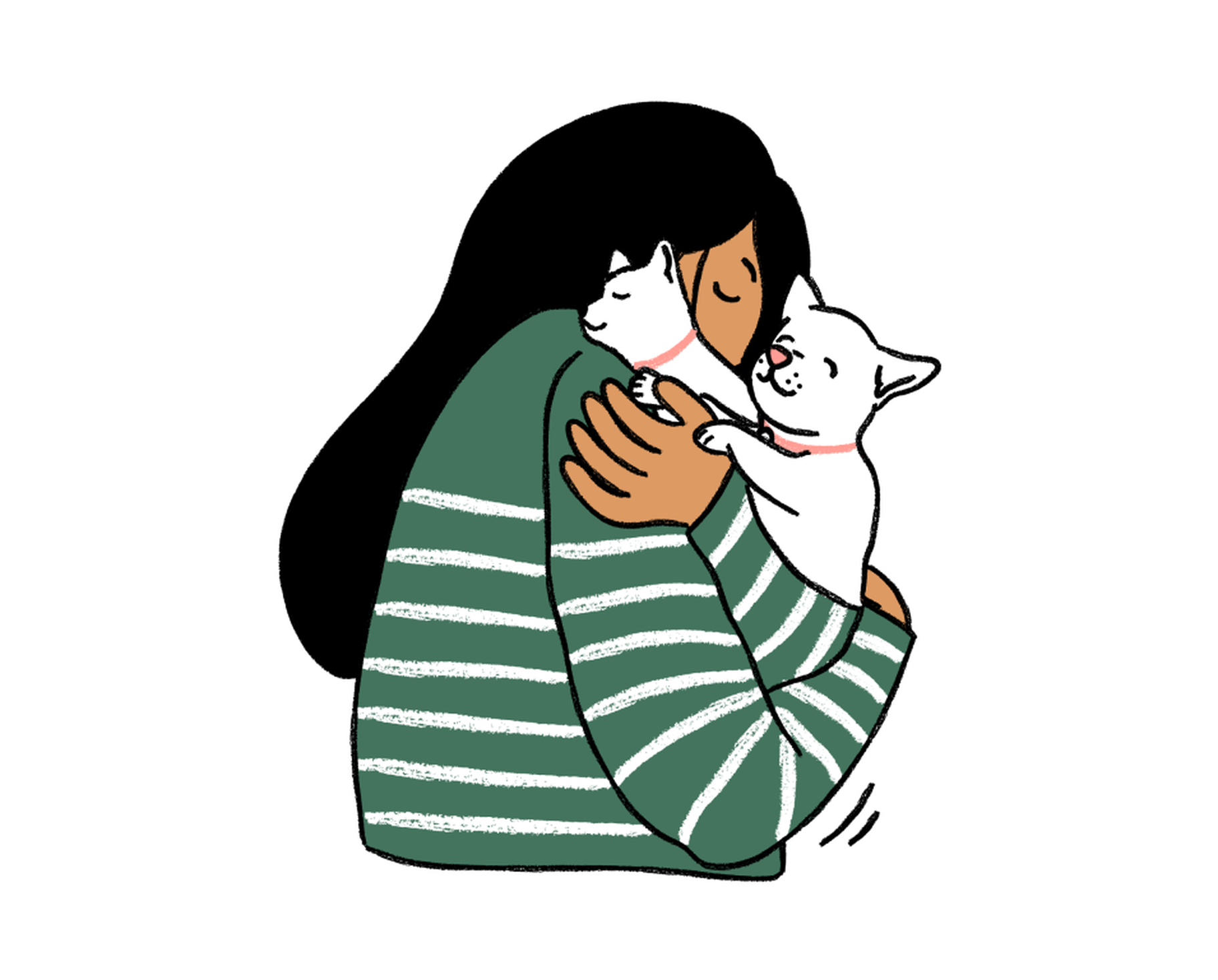 Kitten guide