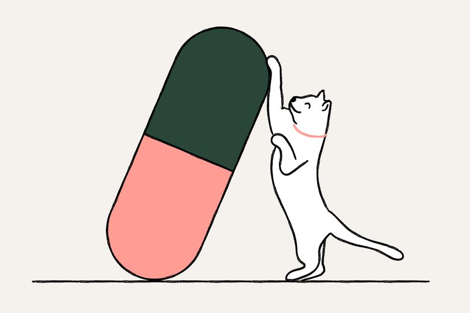 Cats + Vitamins and supplements - Header