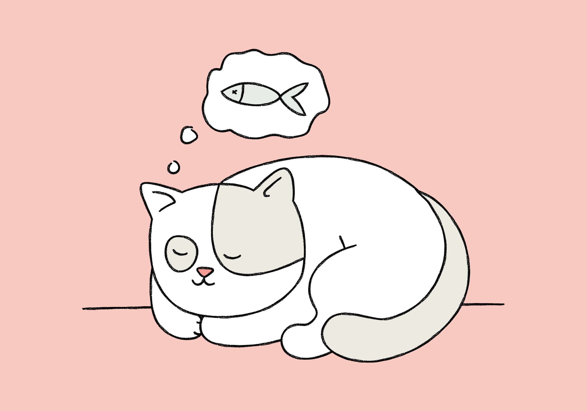 kitten sleeping