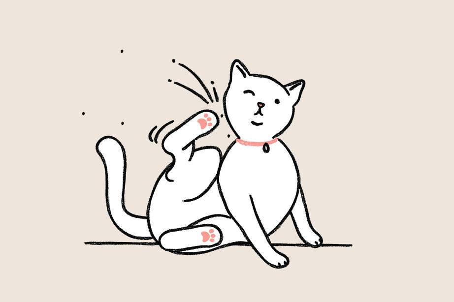 drawing of a kitten itching itself