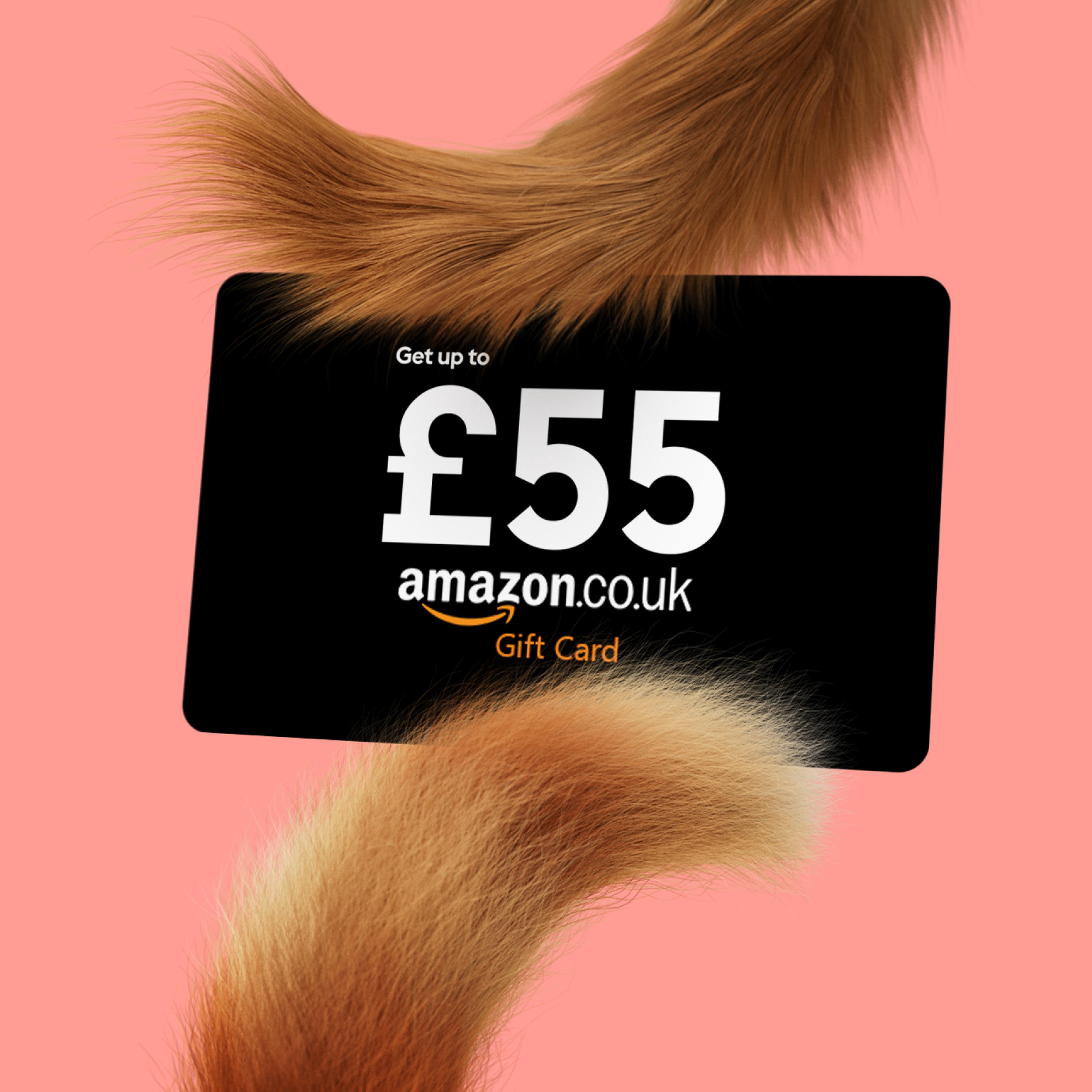 up to £55
