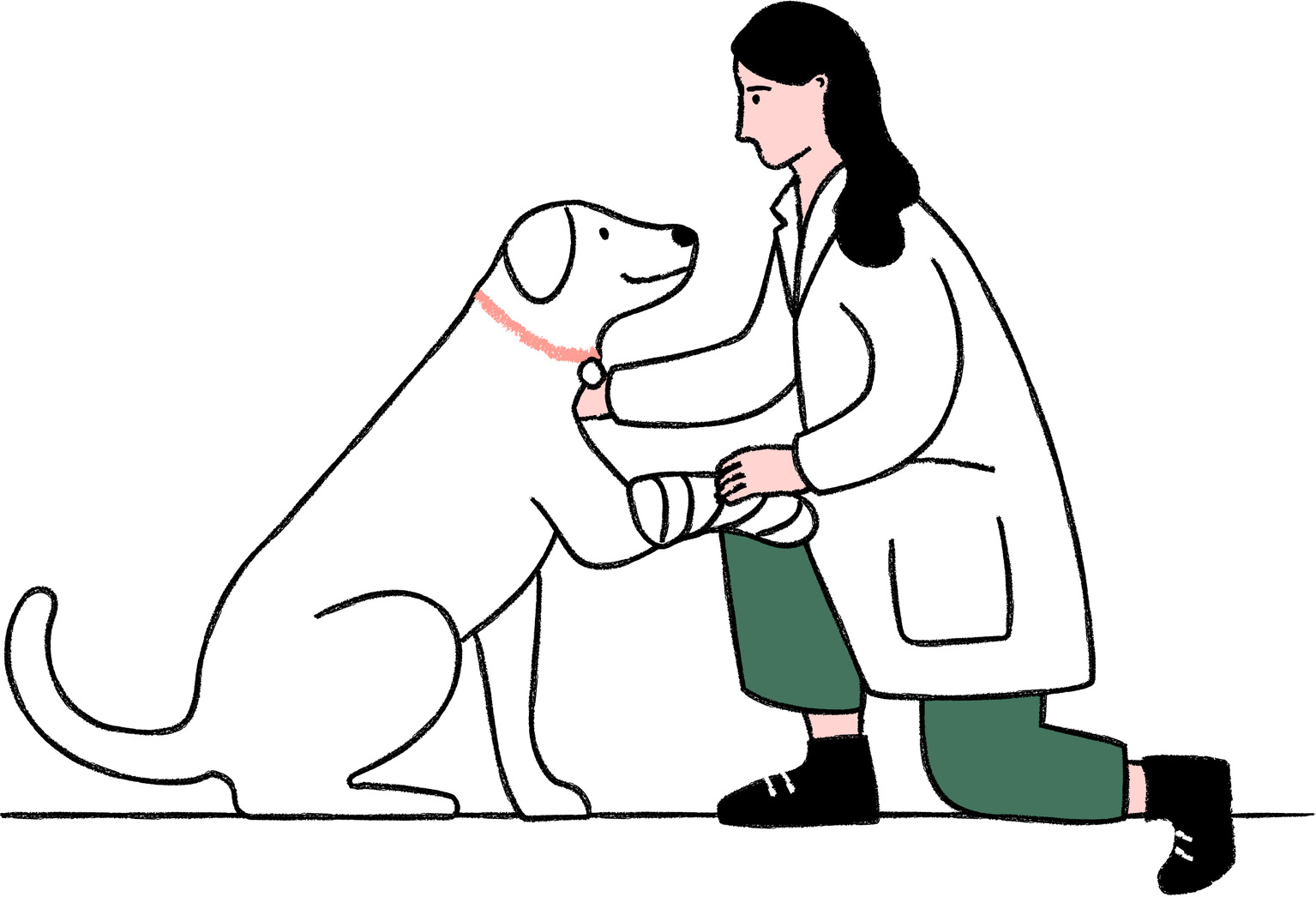 An illustraition of a dog with a bandaged paw being stroked by a vet