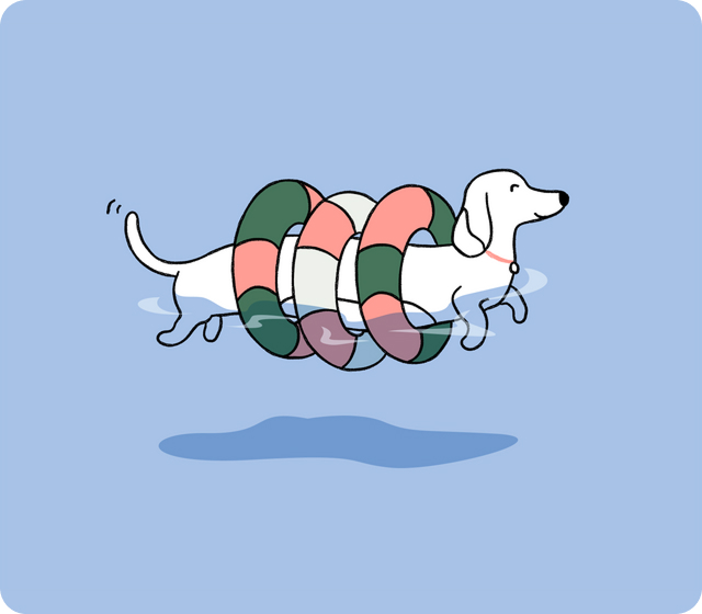 Illustration of a dog swimming with rings