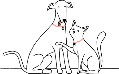 A dog and cat greeting each other